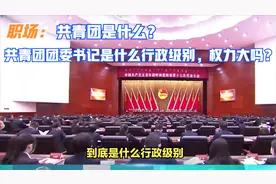 职场：共青团是什么？共青团团委书记是什么行政级别？权力大吗？视频封面