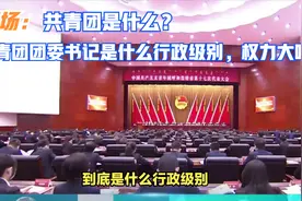 职场：共青团是什么？共青团团委书记是什么行政级别？权力大吗？