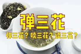 成都喝茶都喜欢说tan三花，你知道是什么意思么？#茶文化 #成都视频封面