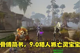 潮WOW：9.0兽王猎人抓亡灵宝宝，骨缚简书，这里刷视频封面
