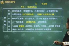 临床女性生殖系统解刨05骨盆底的组成，会阴的位置、组成及特点视频封面