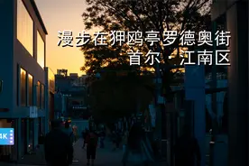 4K 2021 韩国 首尔 江南区 狎鸥亭 商业街 罗德奥街 漫步视频封面