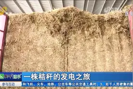 变废为宝！玉米秸秆发电促环境改善，既低碳环保又能促进农户增收视频封面