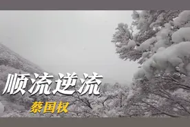 这才是《顺流逆流》的真正原唱，经典粤语歌曲，一代人的回忆视频封面