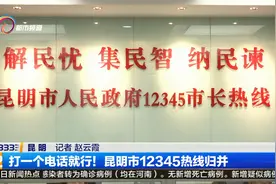 打一个电话就行！昆明市12345热线归并视频封面