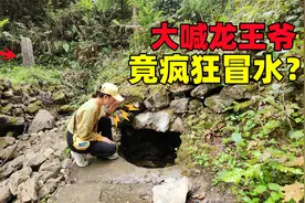 重庆深山喊水泉，大喊龙王爷竟疯狂冒水，究竟是什么原理太神奇了