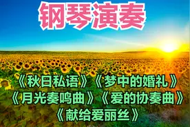 钢琴演奏《秋日私语》梦中的婚礼》风景经典钢琴曲，太好听了！