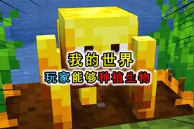 我的世界：玩家能种植生物，只要有种子，连末影龙都能种出来