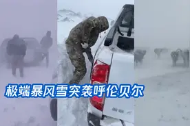 极端暴风雪突袭呼伦贝尔：风声呼啸积雪过膝，牛羊牧群混天一色视频封面