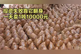 山东济南年糕村，村民大哥一个大集卖掉1吨2000斤年糕，了不起视频封面