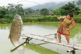 彪悍大婶自制鱼竿野外钓鱼，多亏力气大，不然真抓不到鱼！视频封面