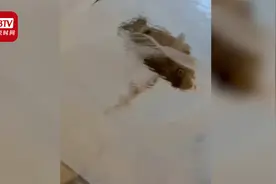 罕见！哈尔滨冰灯里冻着两条鱼 网友：真是从松花江采的冰视频封面