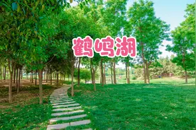西安新开鹤鸣湖公园，溜娃抓蝌蚪休闲好去处，但是园区竟然没厕所视频封面