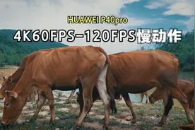 【画质测试】P40pro4K60帧画质达标吗？120帧慢动作是否够用？视频封面