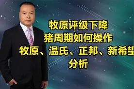 牧原评级下降，猪周期如何操作，牧原、温氏、正邦、新希望分析视频封面