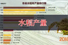 水稻产量排行榜，黑龙江湖南力压其他省份，看看你的家乡排在哪？