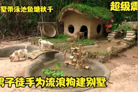 男子野外捡到流浪狗 徒手为狗建带院带泳池别墅 真人纪录片超震撼视频封面