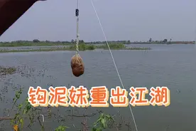 钓点长满水草缠线跑鱼？学学黑皮哥一招搞定，钓鱼如此简单！