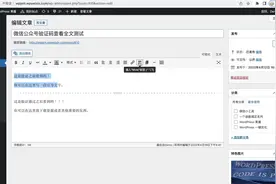 微码：微信公众号验证码查看文章全文 WordPress 插件视频封面