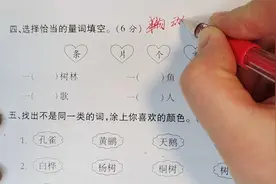 二上语文期末试卷：量词的概念与分类，答题方法与技巧（附答案）