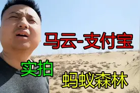 支付宝的蚂蚁森林是忽悠人吗？带你去沙漠里，考察现场真实情况