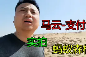 支付宝的蚂蚁森林是忽悠人吗？带你去沙漠里，考察现场真实情况视频封面