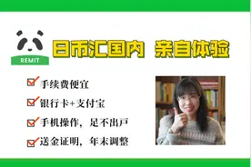 熊猫速汇，你还不知道吗？保姆级讲解2，一看就会！汇支付宝实操视频封面