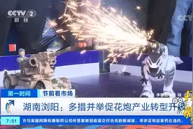 安全又环保！湖南浏阳：多措并举促花炮产业转型升级|第一时间视频封面