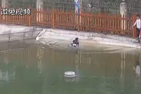 两男孩到水塘边捞蝌蚪，不慎掉落水塘！视频封面