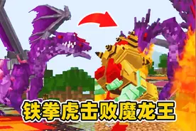 我的世界五灵生存3：合成暗物质，召唤魔龙王！