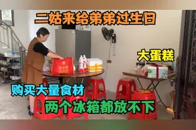 姐姐来给弟弟过生日，购买了大蛋糕和大量食材，两个冰箱都放不下