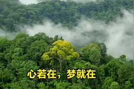 一个高五复读生的励志故事视频封面