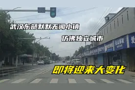 武汉的东部有一个默默无闻的小镇，仿佛独立城市，即将迎来大变化视频封面