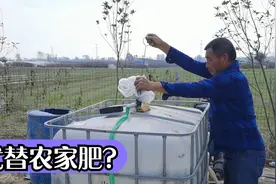这种液体肥料火了，听说能代替农家肥？事实到底如何视频封面