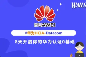 华尔思 HCIE数通 HCIA-Datacom