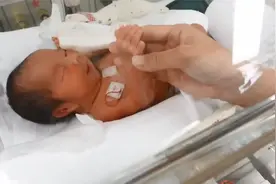 低体重的新生儿隔着育婴箱看到了妈妈，小娃下意识的反应，萌翻了视频封面