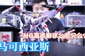 小伙伴们催的高达又来了，长相奇特的幻之机体，身材也忒大了吧！视频封面