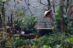 今年北方的雨水是真多，淅淅沥沥下个不停，不知道你们那里呢视频封面