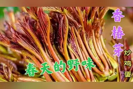 老婆想吃香椿芽老公安排，简单做法3分钟出锅，老婆直呼太好吃了视频封面