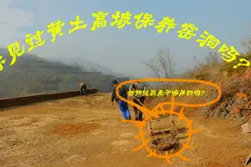 黄土高坡上的窑洞为什么不会塌呢？看完我懂了！视频封面