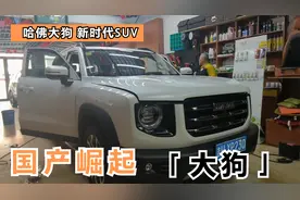 落地不到15w，又萌又猛的哈弗大狗到底怎么样，看完你还会买H6吗视频封面