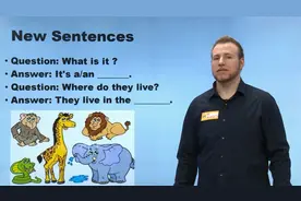 小学英语句型：what is it？