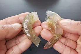 原来剥虾壳这么简单，学会这个小技巧，虾仁轻松取出，又快又完整