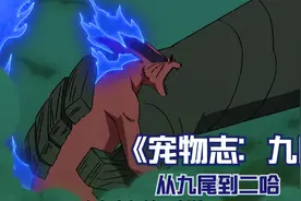 宠物志：九尾，原来九尾并非憎恶的集合体，也是最感性的尾兽视频封面