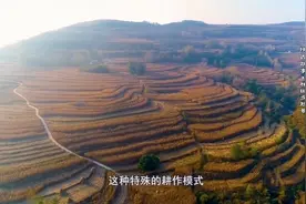 秀美乡村映三秦·梯田多胜景视频封面