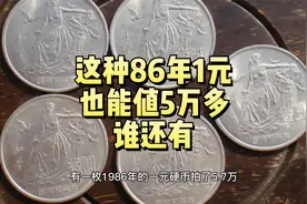 能拍5万多，流通过的86年1元硬币，谁还有？