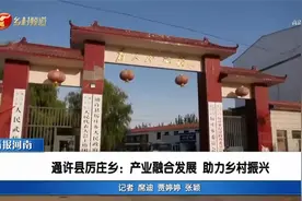【向二十大汇报】通许县厉庄乡：产业融合发展 助力乡村振兴视频封面