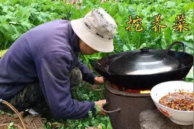 云南冬天荠菜真肥嫩，小两口挖些回家煮了吃，烧点糊辣椒一蘸真爽视频封面