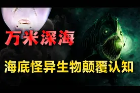 盘点海洋奇异生物，神秘的超深海区域，仍隐藏着上万种未知生物！