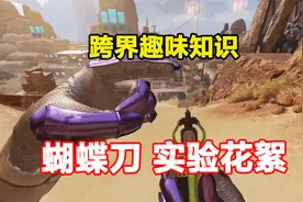 关于蝴蝶刀跨界对比实验花絮，战争前线左右对称，APEX的动力小子视频封面